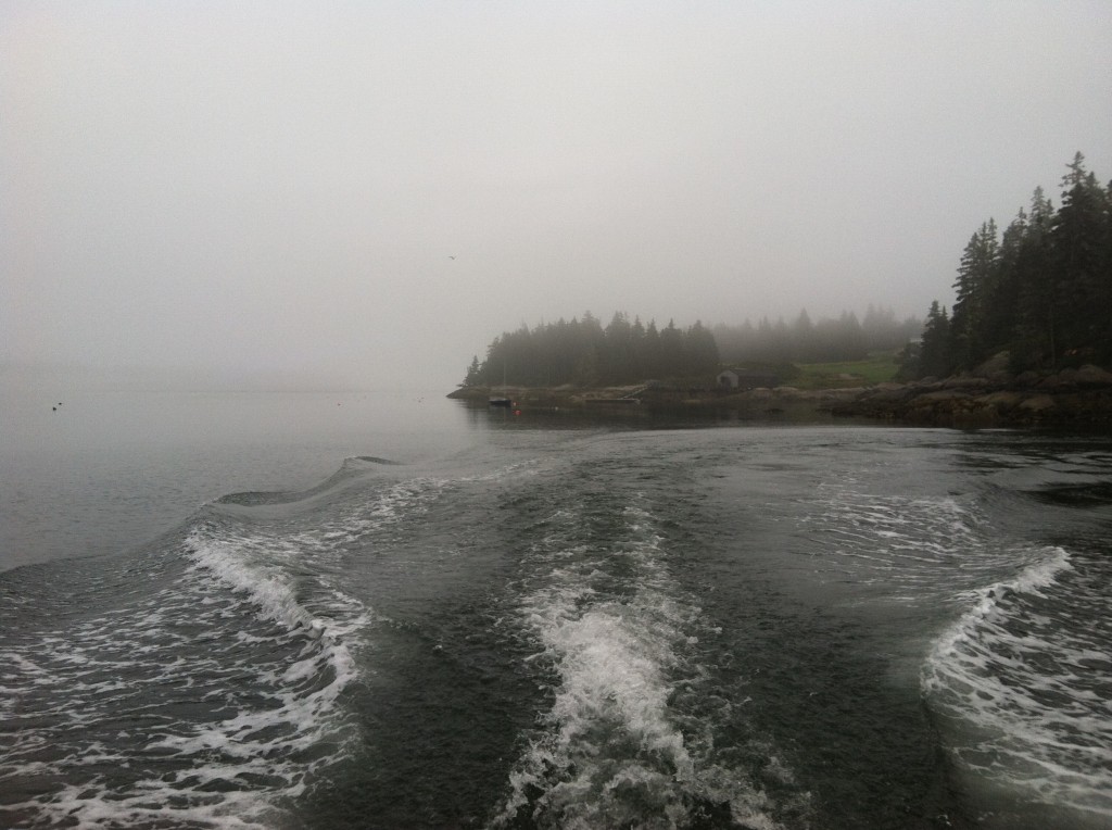 Going home, in the fog.